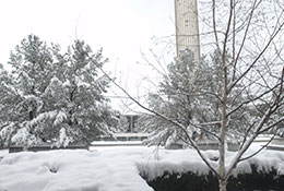 Winter campus. Links to Gifts of Real Estate Winter campus. Links to Gifts of Real Estate